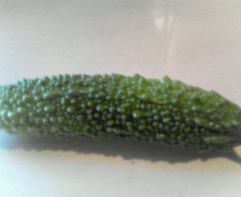 200909051552000.jpg