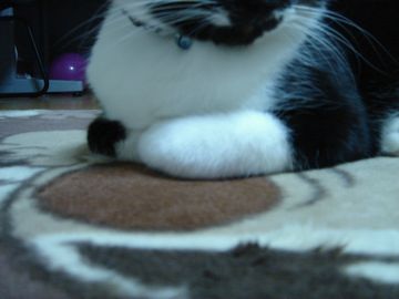 DSC00655.JPG