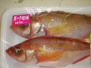 旬の魚