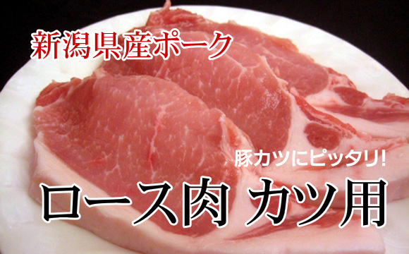 新潟県産 豚肉 ロース カツ用