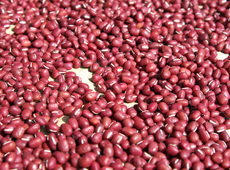 北海道産の小豆