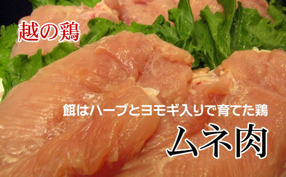 越の鶏 鶏肉 ムネ肉