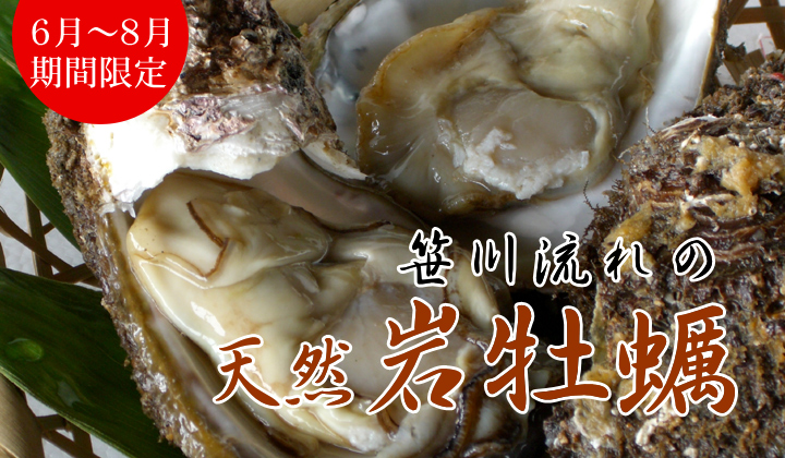 天然岩牡蠣（岩ガキ）