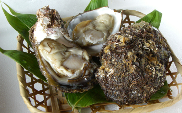 天然 岩牡蠣（岩がき）