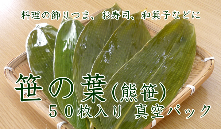 笹の葉 ささの葉 熊笹 無農薬 山採り 広島県産 大サイズ 600枚セット