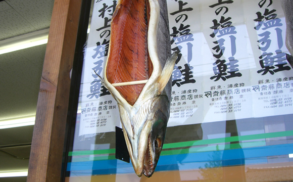 頭を下にする村上独特の塩引き鮭の製法